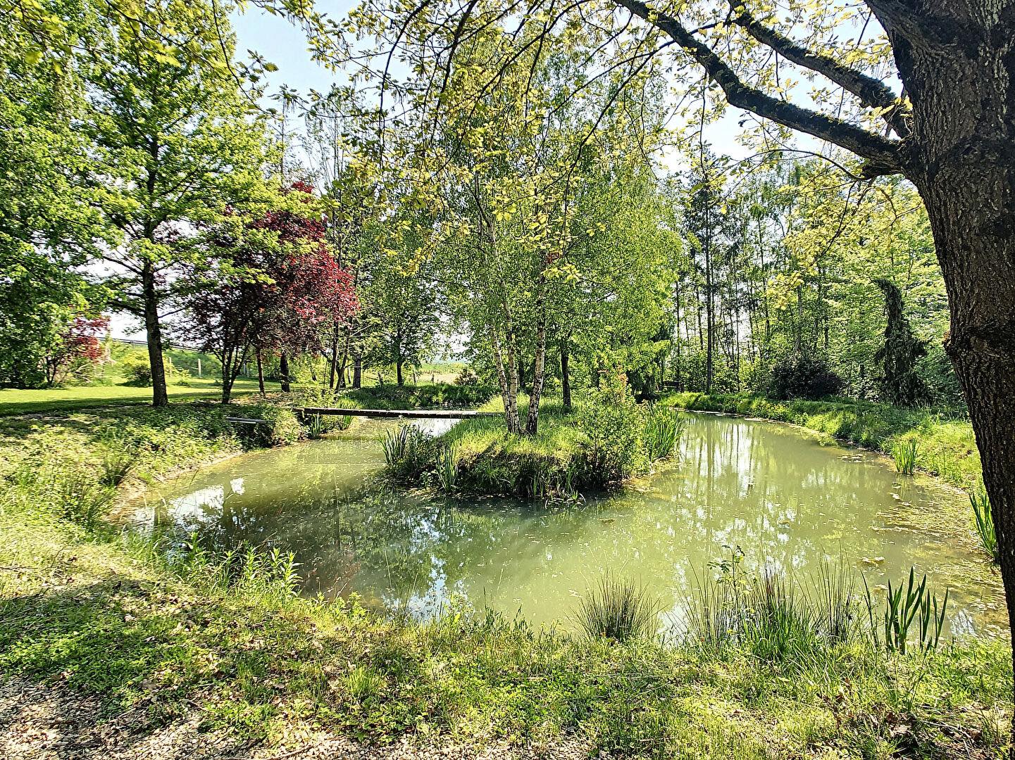 marre respectueuse de l'environnement